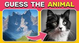 animal optical illusion