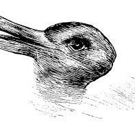 famous optical illusion