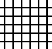grid illusion