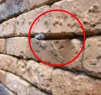brick wall optical illusion