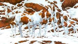 horse optical illusion
