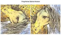frog and horse illusion