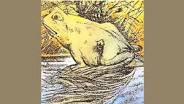frog horse illusion