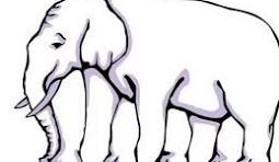 elephant illusion