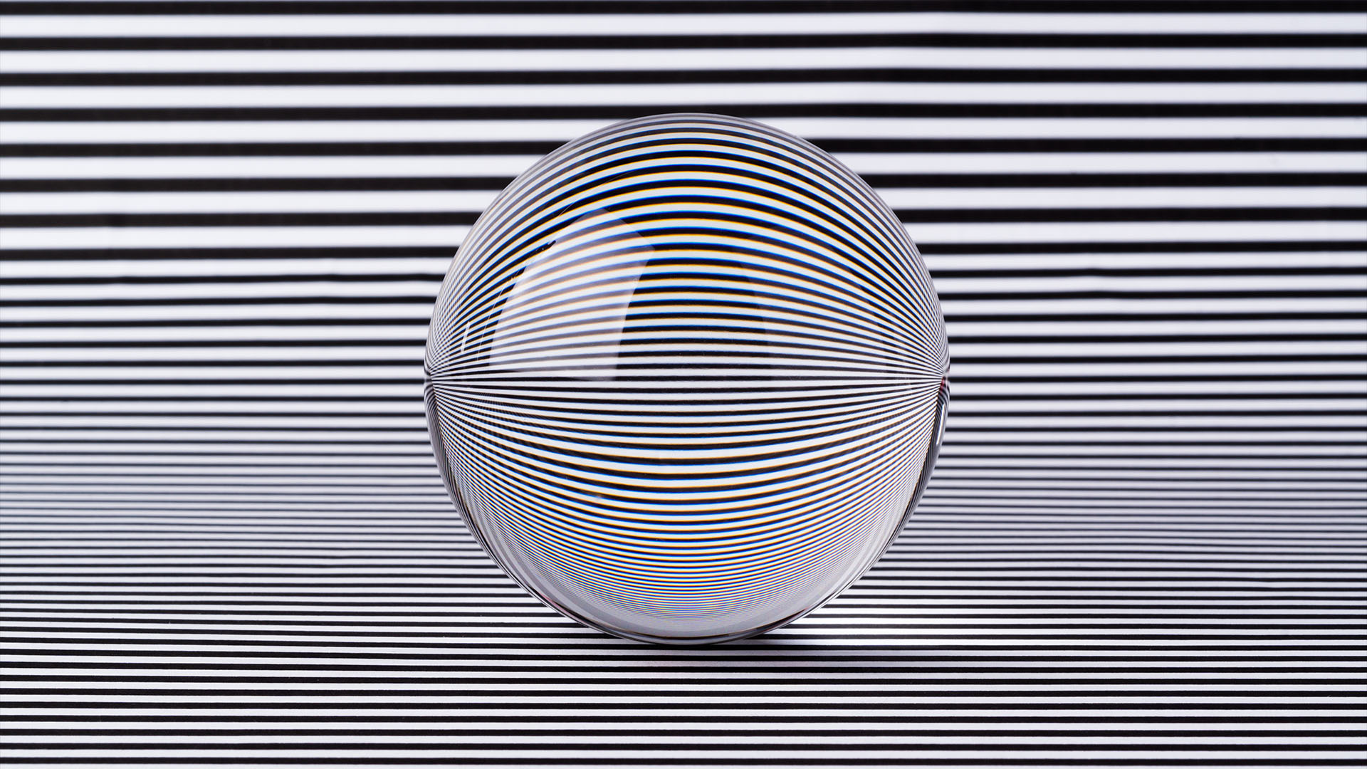 best optical illusions 2022