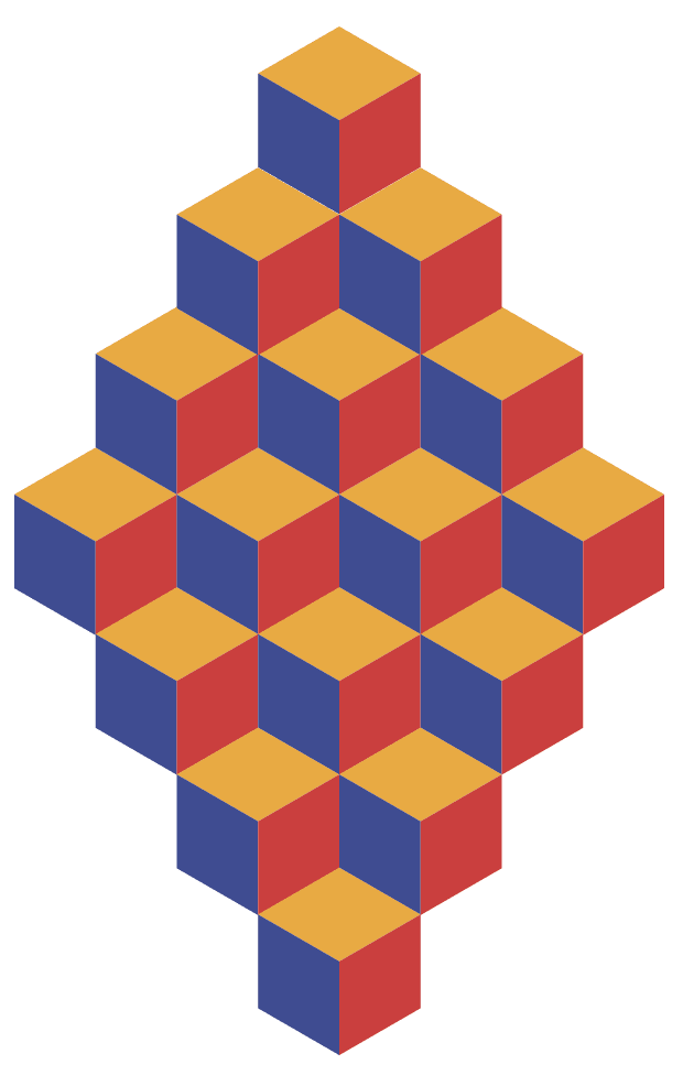 ambiguous object illusion