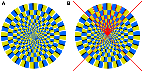 ehrenstein illusion